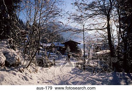 Stock Photo - Tyrolean House Through Trees Austria. Fotosearch