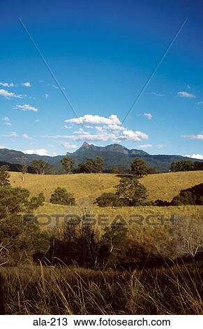 View of Mount Warning behind Foothills Australia View Large Photo Image Stock Image - View of Mount Warning behind Foothills Australia. Fotosearch