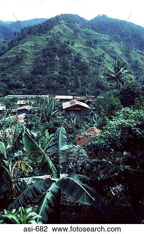 View of Village Luzon The Philippines Asia View Large Photo Image Stock Image - View of Village Luzon The Philippines Asia. Fotosearch