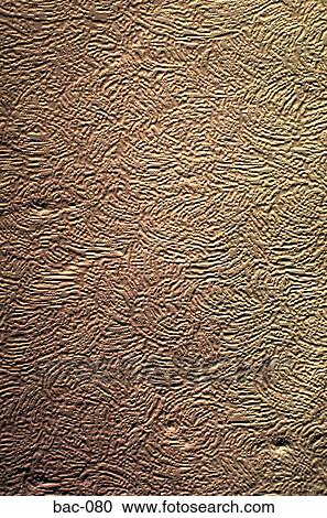 Stock Image - Wallpaper. Fotosearch