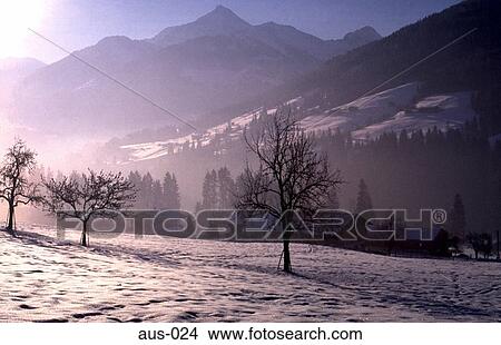 Winter Landscape Alpbach Austria View Large Photo Image Picture - Winter Landscape Alpbach Austria. Fotosearch