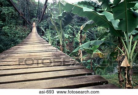 Stock Image - Wooden Bridge Zamboanga The Philippines Asia. Fotosearch