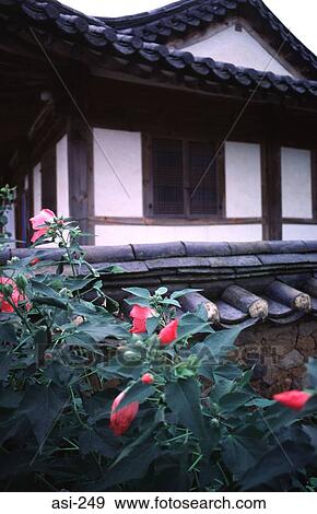 Wooden House Haehoe Korea Asia View Large Photo Image Stock Photo - Wooden House Haehoe Korea Asia. Fotosearch