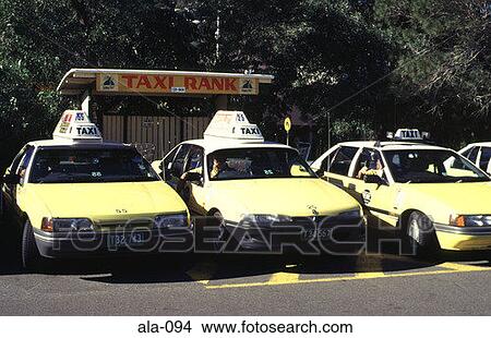 Yellow Taxis at Rank in Noosa Queensland Australia View Large Photo Image Picture - Yellow Taxis at Rank in Noosa Queensland Australia. Fotosearch