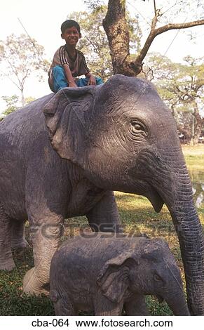 Picture - Boy Riding Elephant Cambodia. Fotosearch