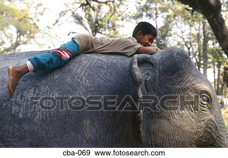 Stock Photo - Boy Riding Elephant Cambodia. Fotosearch