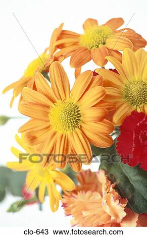 Close Up of Bunch of Flowers View Large Photo Image Stock Image - Close Up of Bunch of Flowers. Fotosearch