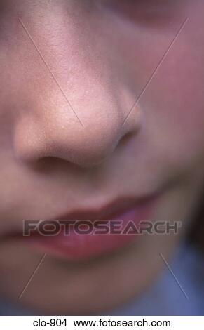 Close up of Nose View Large Photo Image Picture - Close up of Nose. Fotosearch
