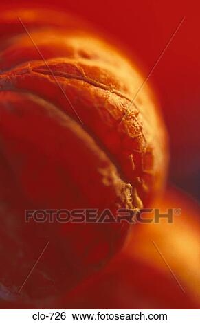 Close Up of Peeled Orange View Large Photo Image Stock Photograph - Close Up of Peeled Orange. Fotosearch
