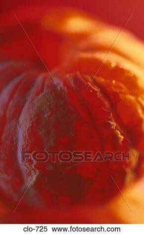 Close Up of Peeled Orange View Large Photo Image Stock Photography - Close Up of Peeled Orange. Fotosearch
