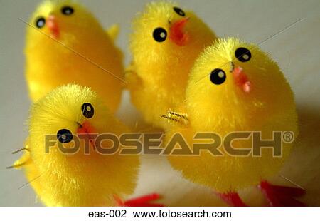 Easter Chicks View Large Photo Image Stock Image - Easter Chicks. Fotosearch