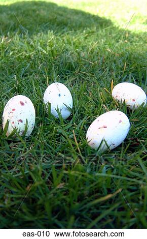 Stock Image - Easter Eggs on Grass. Fotosearch