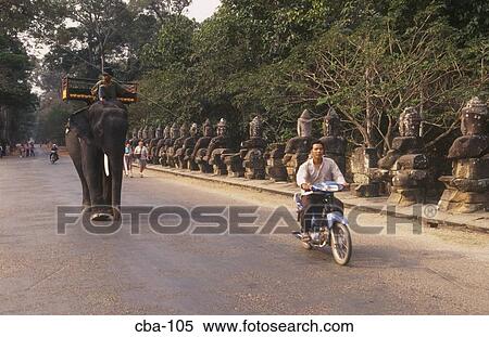 Elephant and Motorcyclist Angkor Thom Cambodia View Large Photo Image Stock Photography - Elephant and Motorcyclist Angkor Thom Cambodia. Fotosearch