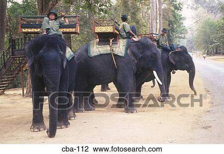 Elephants Angkor Thom Cambodia View Large Photo Image Stock Image - Elephants Angkor Thom Cambodia. Fotosearch