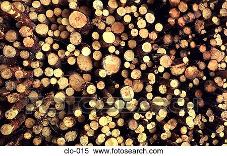 Stock Photography - End on View of Log Pile. Fotosearch