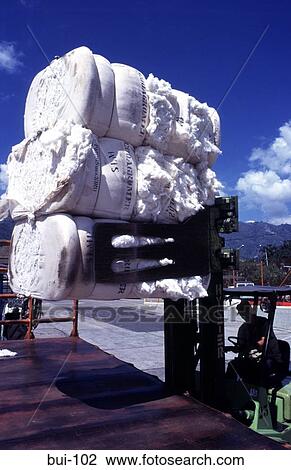 Fork Lift Truck loading Bails of Cotton View Large Photo Image Stock Image - Fork Lift Truck loading Bails of Cotton. Fotosearch