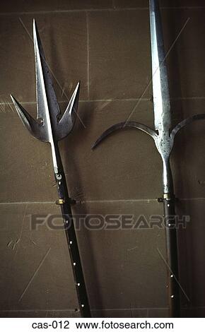 Stock Image - Halberds on Wall Warwick Castle Great Hall UK. Fotosearch