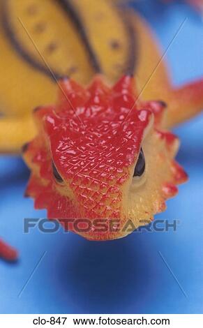 Head of Plastic Lizard View Large Photo Image Stock Photo - Head of Plastic Lizard. Fotosearch