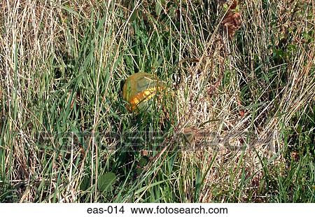 Hidden Easter Egg Easter View Large Photo Image Picture - Hidden Easter Egg Easter. Fotosearch