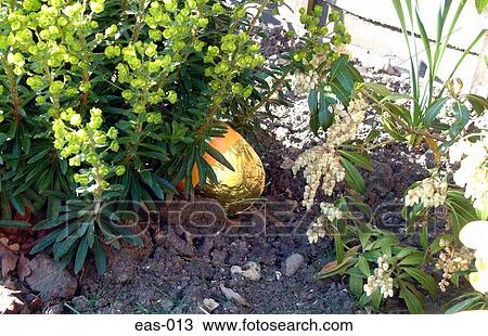 Hidden Easter Egg Easter View Large Photo Image Stock Image - Hidden Easter Egg Easter. Fotosearch