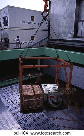Picture - Loading Crates of Bananas into Hold of Ship Dock. Fotosearch