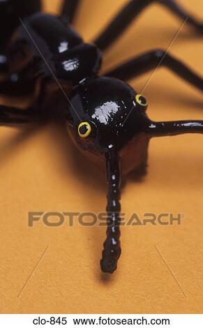 Plastic Ant View Large Photo Image Stock Photography - Plastic Ant. Fotosearch