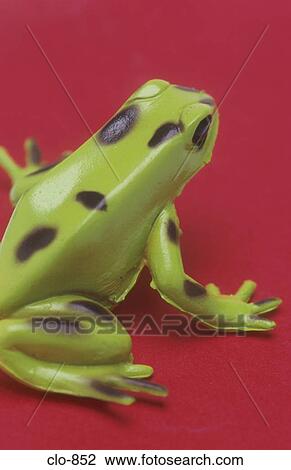 Plastic Frog View Large Photo Image Stock Image - Plastic Frog. Fotosearch