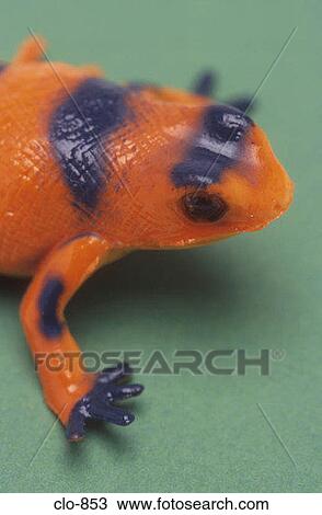 Stock Image - Plastic Frog. Fotosearch