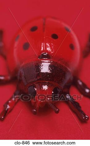 Plastic Ladybird View Large Photo Image Stock Photograph - Plastic Ladybird. Fotosearch