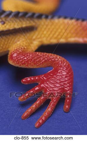 Stock Photography - Plastic Lizard Leg. Fotosearch