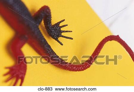 Stock Image - Plastic Lizard. Fotosearch