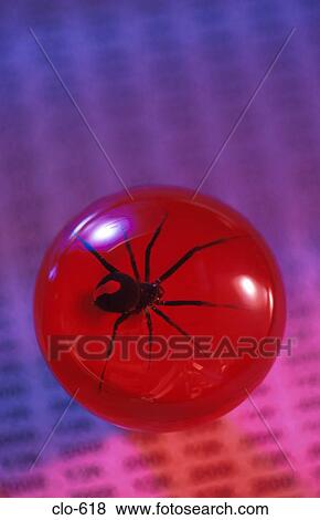 Stock Photo - Spider in Red Ball on Millennium Background. Fotosearch