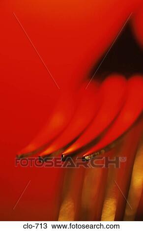 Tines against Red Background View Large Photo Image Stock Image - Tines against Red Background. Fotosearch