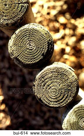 Vertical Photograph of Fence Posts View Large Photo Image Picture - Vertical Photograph of Fence Posts. Fotosearch