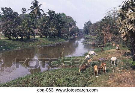 Stock Image - View of Siem Reap River Cambodia. Fotosearch