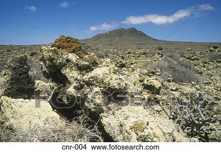 Volcanic Landscape Fuerteventura Canary Islands View Large Photo Image Picture - Volcanic Landscape Fuerteventura Canary Islands. Fotosearch