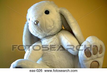 White Stuffed Rabbit View Large Photo Image Stock Photograph - White Stuffed Rabbit. Fotosearch