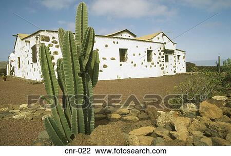 Whitewashed Building La Oliva Fuerteventura Canary Islands View Large Photo Image Stock Image - Whitewashed Building La Oliva Fuerteventura Canary Islands. Fotosearch