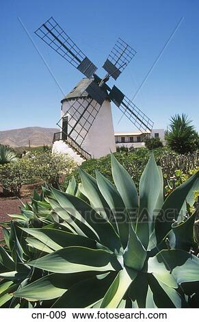 Windmill Antigua Fuerteventura Canary Islands View Large Photo Image Stock Photo - Windmill Antigua Fuerteventura Canary Islands. Fotosearch