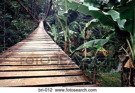 Stock Image - Wooden Suspension Footbridge Zamboanga Philippines. Fotosearch