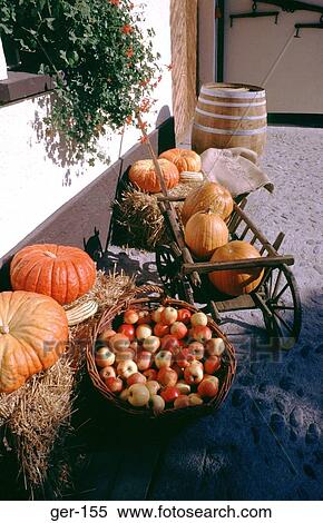 Stock Photography - Apples and Pumpkins on Wheelbarrow Germany. Fotosearch