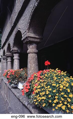 Arches and Flowers of Moretonhampstead Armoury UK View Large Photo Image Stock Photograph - Arches and Flowers of Moretonhampstead Armoury UK. Fotosearch