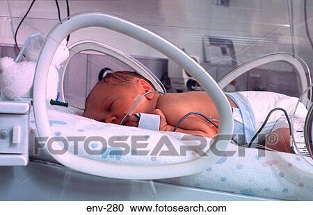 Baby in Incubator View Large Photo Image Stock Image - Baby in Incubator. Fotosearch
