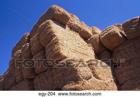 Bales of Straw Egypt View Large Photo Image Picture - Bales of Straw Egypt. Fotosearch
