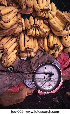 Bananas and Metal Pan View Large Photo Image Stock Photo - Bananas and Metal Pan. Fotosearch