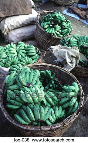 Baskets Of Green Bananas View Large Photo Image Stock Photo - Baskets Of Green Bananas. Fotosearch