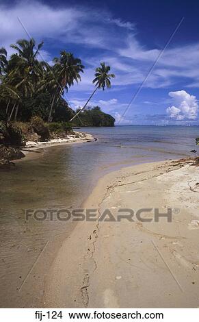 Beach at the Coral Coast Fiji View Large Photo Image Picture - Beach at the Coral Coast Fiji. Fotosearch
