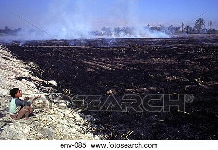 Boy Sitting by Burnt Stubble Egypt Africa View Large Photo Image Stock Photography - Boy Sitting by Burnt Stubble Egypt Africa. Fotosearch