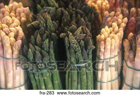 Bunches of Green and White Asparagus France View Large Photo Image Stock Image - Bunches of Green and White Asparagus France. Fotosearch