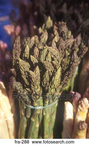 Bunches of Green and White Asparagus France View Large Photo Image Stock Photo - Bunches of Green and White Asparagus France. Fotosearch